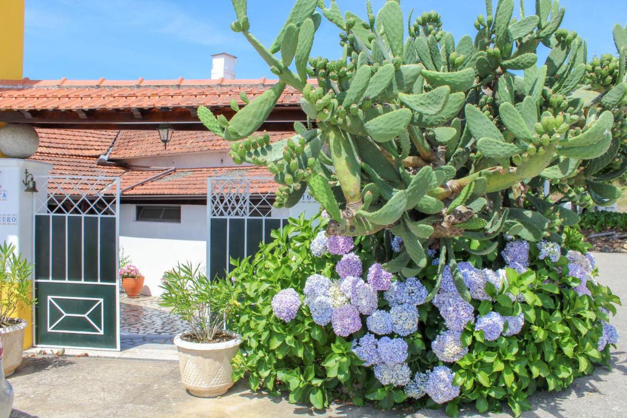 Hotel Quinta de Vale Escuro Lousã Exterior foto